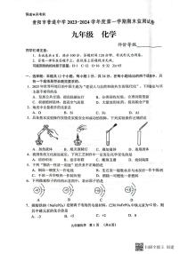 贵州省贵阳市2023-2024学年九年级上学期期末化学试题