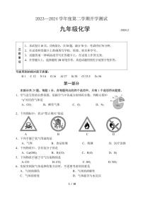 北京师范大学附属实验中学2023-2024学年下学期九年级化学开学检测试题