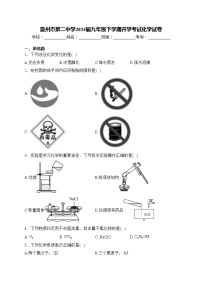 雷州市第二中学2024届九年级下学期开学考试化学试卷(含答案)