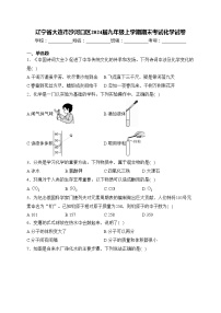 辽宁省大连市沙河口区2024届九年级上学期期末考试化学试卷(含答案)