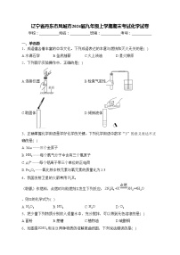 辽宁省丹东市凤城市2024届九年级上学期期末考试化学试卷(含答案)