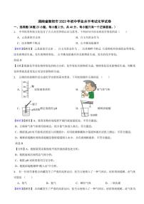 湖南省衡阳市2023年中考化学试题（附真题解析）