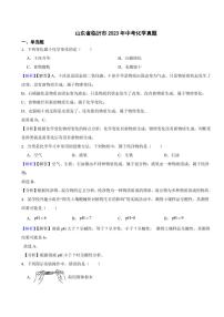 山东省临沂市2023年中考化学试题（附真题解析）