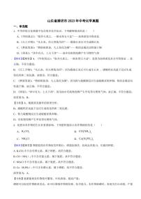 山东省潍坊市2023年中考化学试题（附真题解析）
