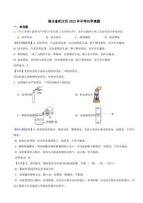 湖北省武汉市2023年中考化学试题（附真题解析）