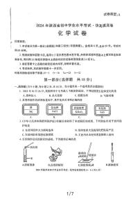 2024年陕西省宜县第二中学初中学业水平考试化学仿真摸底卷A