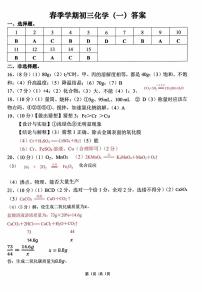 42，2024年广东省茂名市博雅中学中考第一次模拟化学试题(1)