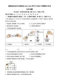 湖南省张家界市慈利县2023-2024学年九年级上学期期末考试化学试题（原卷版+解析版）