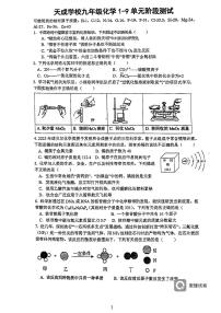 广东省深圳市龙岗区龙城天成学校2023-2024学年九年级下学期3月月考化学试题