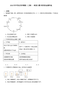 2024年中考化学沪教版（上海）一轮复习题常用的金属和盐