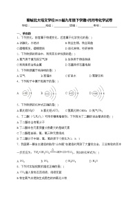 聊城北大培文学校2023届九年级下学期3月月考化学试卷(含答案)