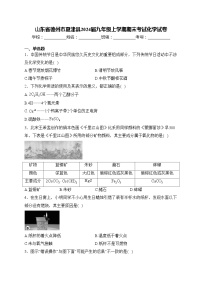 山东省德州市夏津县2024届九年级上学期期末考试化学试卷(含答案)
