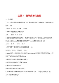 2023-2024 中考化学复习 板块二 主题3　化学式与化合价 提分作业