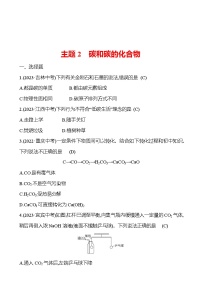 2023-2024 中考化学复习 板块一 主题2　碳和碳的化合物 提分作业