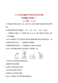 2024年河北省初中毕业生升学文化课考试模拟冲刺卷（一）