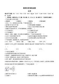 2024年河南省鹤壁市淇滨中学中考模拟化学试题