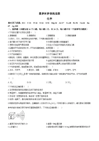 2024年河南省鹤壁市淇滨中学中考模拟化学试题