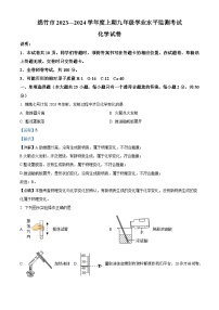 四川省绵竹市2023—2024学年九年级上学期期末质量监测化学试卷