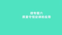 2023-2024 中考化学复习 微专题六　质量守恒定律的应用 课件