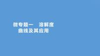 2023-2024 中考化学复习 微专题一　溶解度曲线及其应用 课件