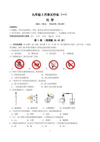 广西南宁天桃教育集团2023-2024学年九年级下学期3月份月考化学试卷(3)