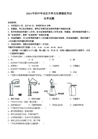 河北省秦皇岛市青龙满族自治县2023-2024学年九年级下学期开学摸底考试化学试题