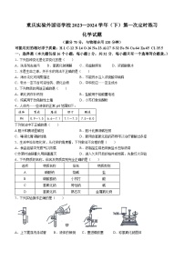 重庆市实验外国语学校2023-2024学年九年级下学期第一次月考化学试卷