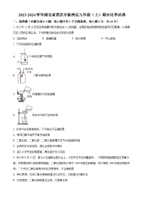 湖北省武汉市新洲区2023-2024学年九年级上学期期末化学试题（原卷版+解析版）