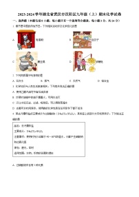 湖北省武汉市汉阳区2023-2024学年九年级上学期期末化学试题（原卷版+解析版）