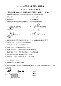湖北省武汉市东西湖区2023-2024学年九年级上学期期末化学试题（原卷版+解析版）