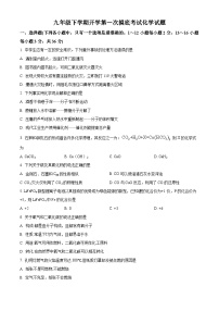 山东省德州市宁津县苗场中学2023-2024学年九年级下学期开学第一次摸底考试化学试题（原卷版+解析版）