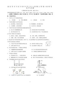 重庆市合川区合阳中学2023-2024学年九年级下学期第五周周考化学试题