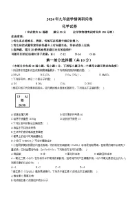 2024年辽宁省沈阳市和平区中考模拟考试化学试题