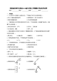 陕西省安康市石泉县2024届九年级上学期期末考试化学试卷(含答案)