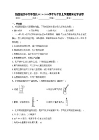 陕西省汉中市宁强县2023~2024学年九年级上学期期末化学试卷(含答案)