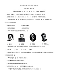 2024年河南省安阳市林州市中考一模适应性测试化学试卷