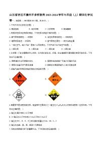 山东省枣庄市滕州市多校2023-2024学年九年级上学期期末联考化学试卷