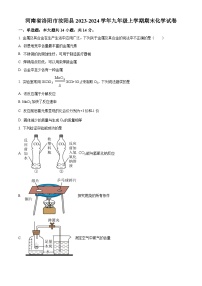 河南省洛阳市汝阳县2023-2024学年九年级上学期期末化学试卷 （原卷版+解析版）