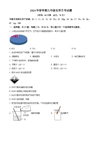 江苏省盐城市飞达路初级中学2023-2024学年九年级下学期3月月考化学试题（原卷版+解析版）