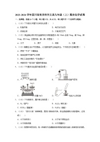 2023-2024学年四川省宜宾市兴文县九年级（上）期末化学试卷