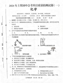 2024年湖南省娄底市涟源市一模化学试题