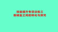 2024贵州中考一轮复习 人教版化学 技能提升专项训练三　酸碱盐之间的转化与探究 课件