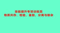 2024贵州中考一轮复习 人教版化学 技能提升专项训练四　物质共存、检验、鉴别、分离与除杂 课件