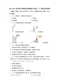 2021-2022学年四川省眉山市洪雅县九年级（上）期末化学试卷