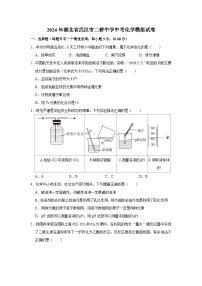 2024年湖北省武汉市二桥中学中考模拟化学试卷