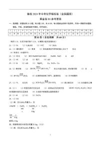 备战2024年初三中考模拟卷：化学卷06（全国通用）（参考答案）