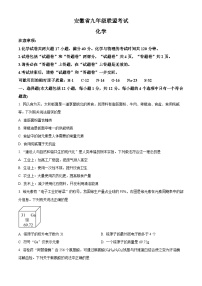 2024年安徽省六安市金寨县九年级全县第一次统一质量监测化学试卷（原卷版+解析版）