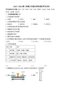 江苏省镇江市丹徒区上会中学2023-2024学年九年级下学期3月月考化学试题（原卷版+解析版）