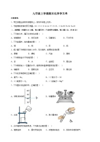 南京市玄武区2023-2024学年九年级上学期期末化学试卷（含答案解析）