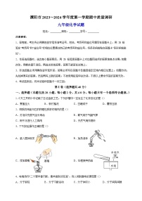 江苏省常州市溧阳市2023-2024学年九年级上学期期中化学试题（含答案解析）